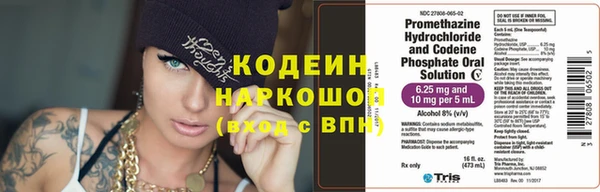 соль ск Козельск