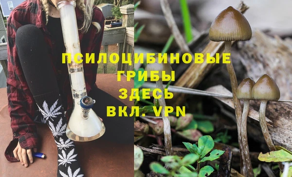 марки lsd Корсаков