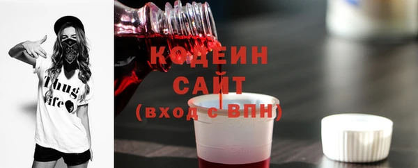 соль ск Козельск
