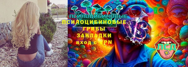 соль курить ск Козловка