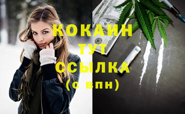 соль ск Козельск