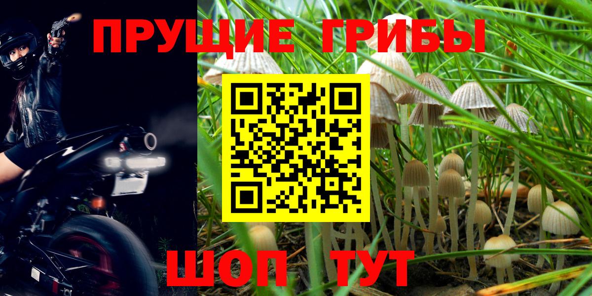 Галлюциногенные грибы прущие грибы Евпатория