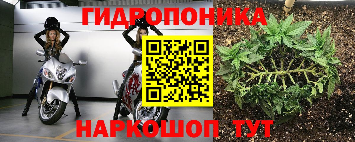 МАРИХУАНА OG Kush Евпатория